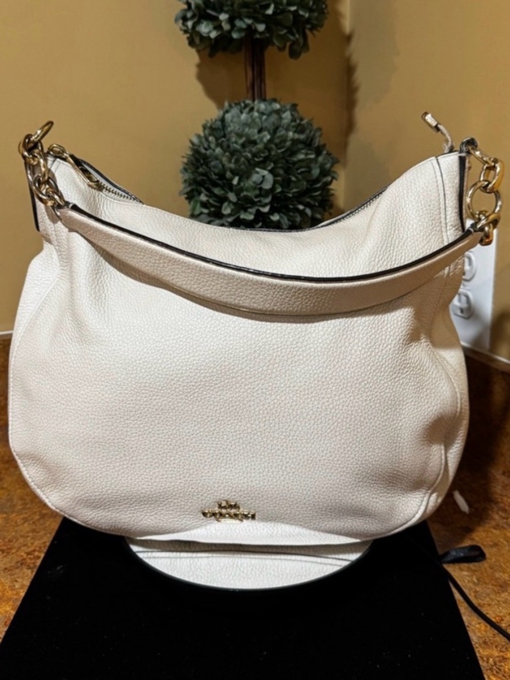 Coach Elle Hobo Bag